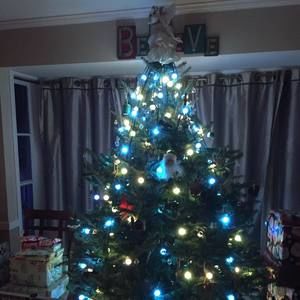 Meet your Posher, Christy